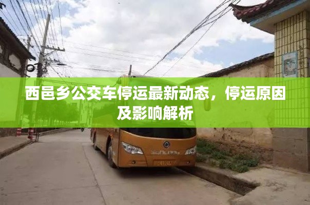 西邑乡公交车停运最新动态,停运原因及影响解析