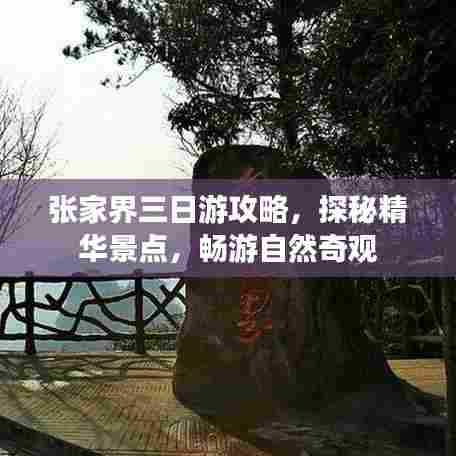 张家界三日游攻略，探秘精华景点，畅游自然奇观