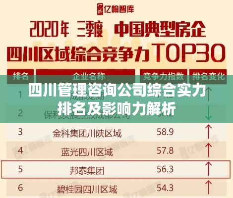 四川管理咨询公司综合实力排名及影响力解析