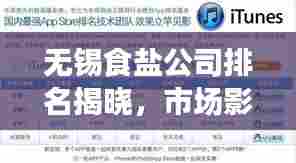 无锡食盐公司排名揭晓,市场影响力榜单及背后的故事