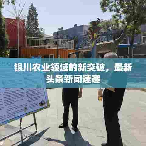银川农业领域的新突破,最新头条新闻速递