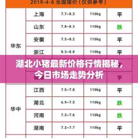 湖北小猪最新价格行情揭秘,今日市场走势分析