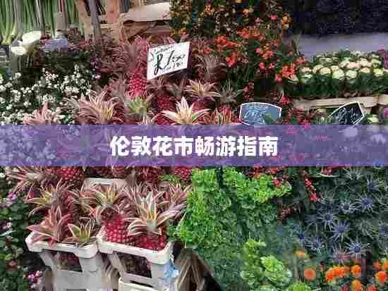 伦敦花市畅游指南